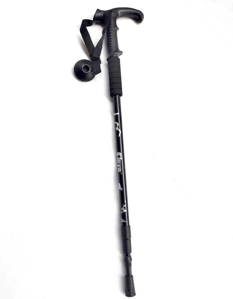 Trekking Pole Cane