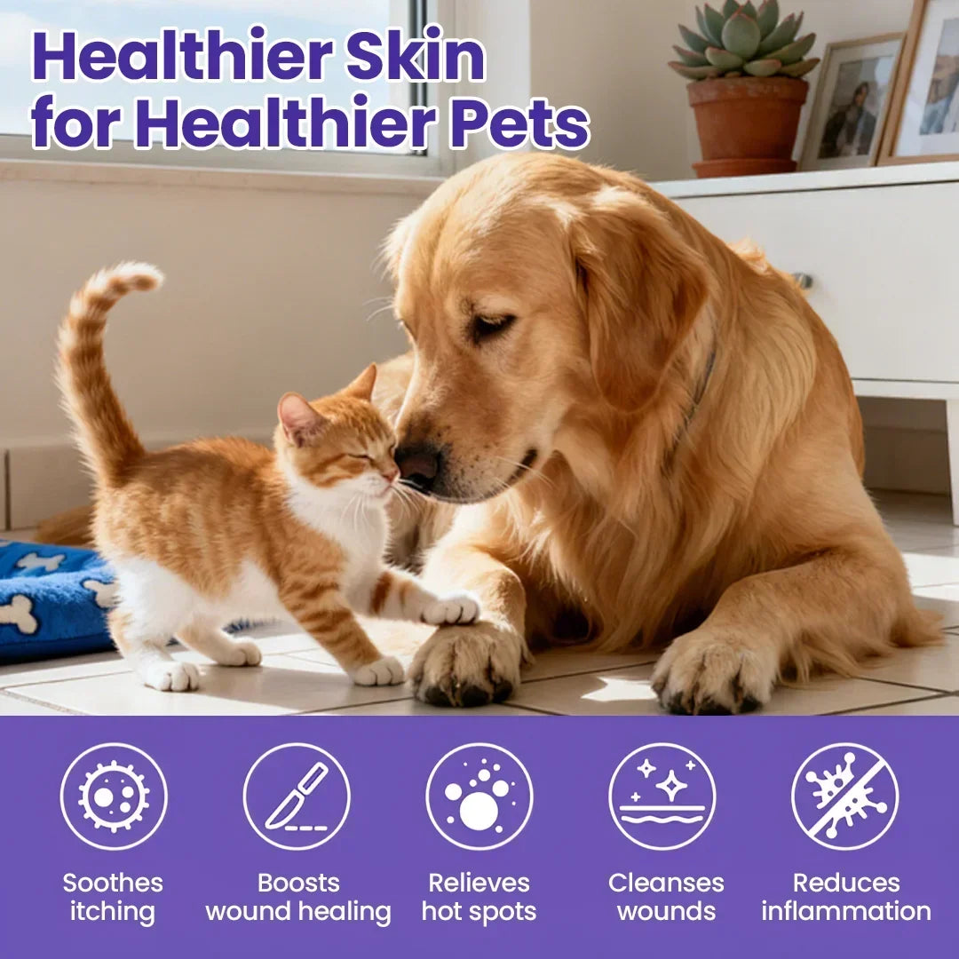 Soulhera® WaxLift Pet Ear Rinse ✨