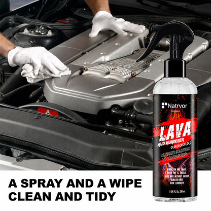 Car External Engine Cleaner – Spray, Clean & Protect
