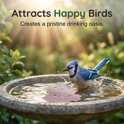 Universal Bird Bath Purifier | Keep Water Crystal Clear & Algae-Free 🕊️